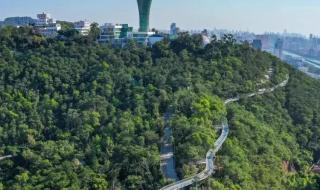 厦门旅游年卡能带儿童吗 厦门旅游年卡办理